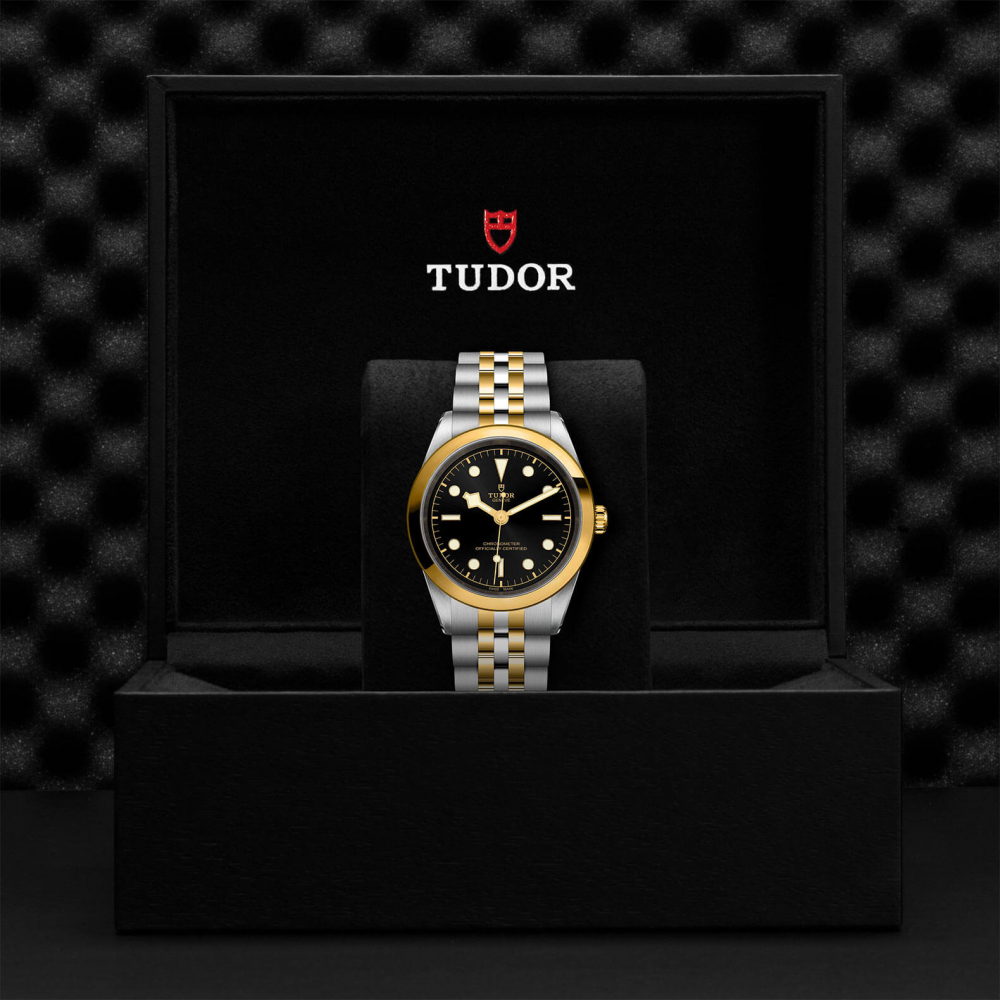 tudor black bay 41 s&g