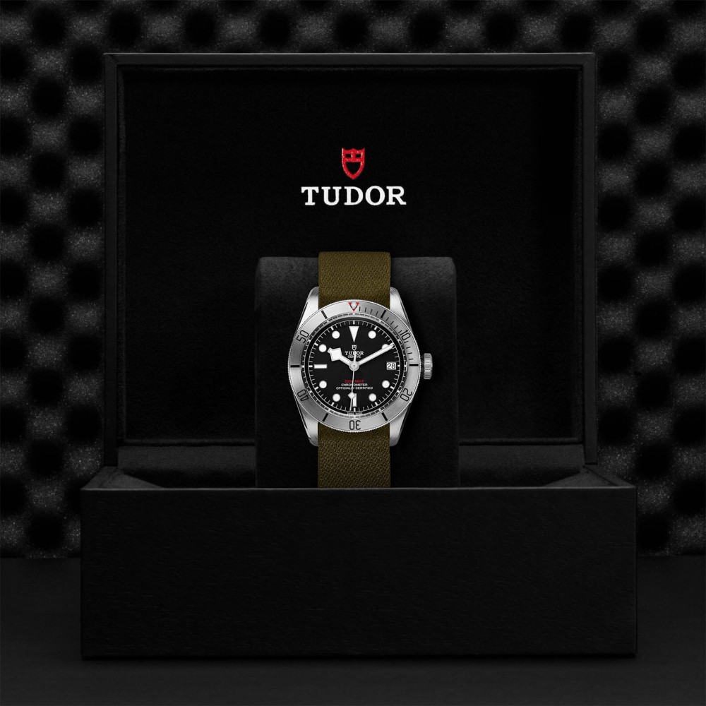 tudor m79730